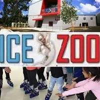 Ice Zoo Ice Rink
