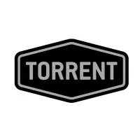 Torrent Shotcrete