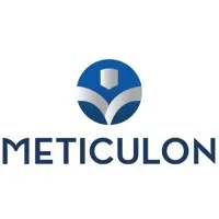 Meticulon Consulting