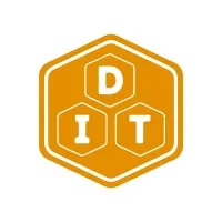 Diligent IT Solutions