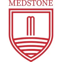 MEDSTONE, Ltd.