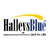 HalleysBlue Steels Pvt Ltd HalleysBlue Steels Pvt Ltd