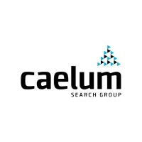 Caelum Search Group, Inc.