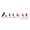 Algae Services