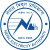 Nepal Electricity Authority, Nepal