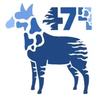 Stuy Fusion Stuy Fusion