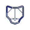COUGAR ELECTRONICS CORP. COUGAR ELECTRONICS CORP.