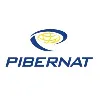 Grupo Pibernat Grupo Pibernat