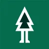 Forest Forest