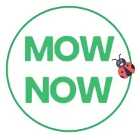 MOW NOW