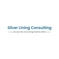 Silver Lining Consulting