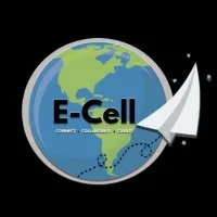 E-cell IPE