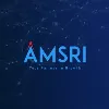 AMSRI Consulting LLC AMSRI Consulting LLC