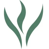 Thielen & Associates, Inc. Thielen & Associates, Inc.