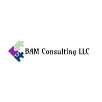 BAM Consulting LLC