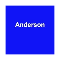 Anderson & Associates Consulting Anderson & Associates Consulting