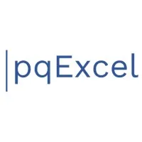 pqExcel Solutions LLP