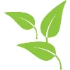 Little Leaves Behavioral Services Little Leaves Behavioral Services
