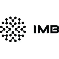 IMB - Instituti i Modelimeve në Biznes