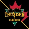 Thunder Seed Inc. Thunder Seed Inc.