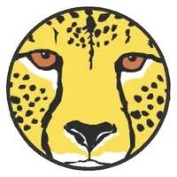 Action for Cheetahs in Kenya