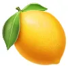 LemonSlice LemonSlice