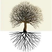 Branching Out