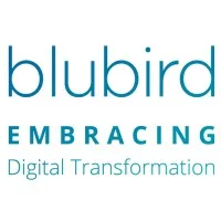 Blubird