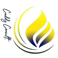 Caddy Consult | Digital Agency | Branding | Paid Media | Digital Content | Social Media & YouTube 