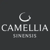 Camellia Sinensis Camellia Sinensis