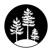 The Pine Project