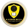 B School Bulls