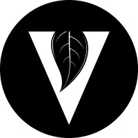 The Vine Church