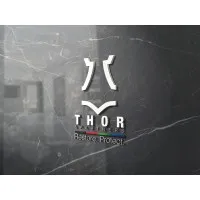 Thor and Partners Inc Thor and Partners Inc