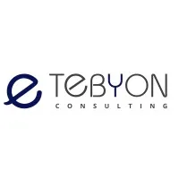 Tebyon Consulting