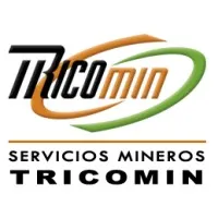 Servicios Mineros Tricomin S A