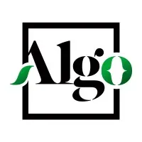 Algo Media
