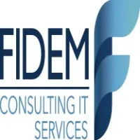 FIDEM Consulting IT Services 