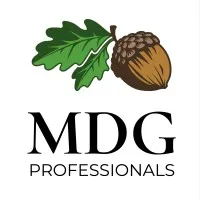 MDG Professionals, LLC