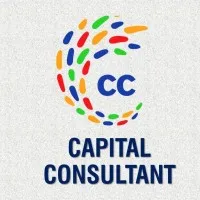 Capital Consultant