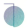 Icon Technology Projects & Services LLC
