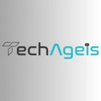 Techageis Infosolutions Private Limited