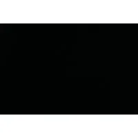 VIP Protection Services VIP Protection Services