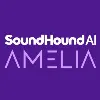 Amelia Amelia