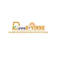 DIVINNE SBR INTERNATIONAL PRIVATE LIMITED