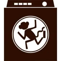 Monkey in a Dryer