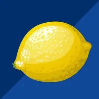 Lemonade Standers Lemonade Standers