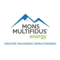 Mons Multifidus Group