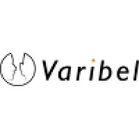 Varibel Innovations bv