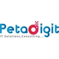 PETADIGIT LLC